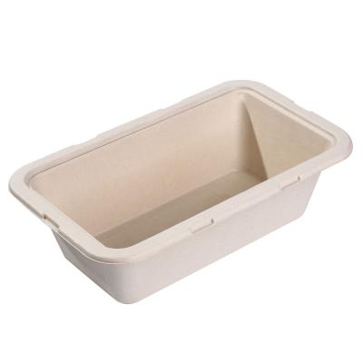 Biodegradable Disposable Food Containers